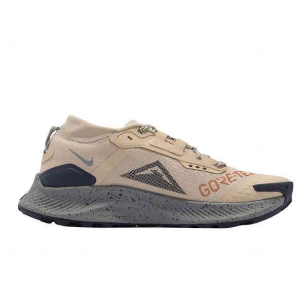 Nike Pegasus Trail 3 Gtx Beige DC8793-200 фото