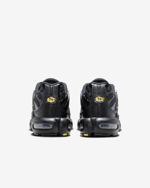 Кроссовки Nike Air Max TN Plus "Pacific Moss" DM0032-012 фото