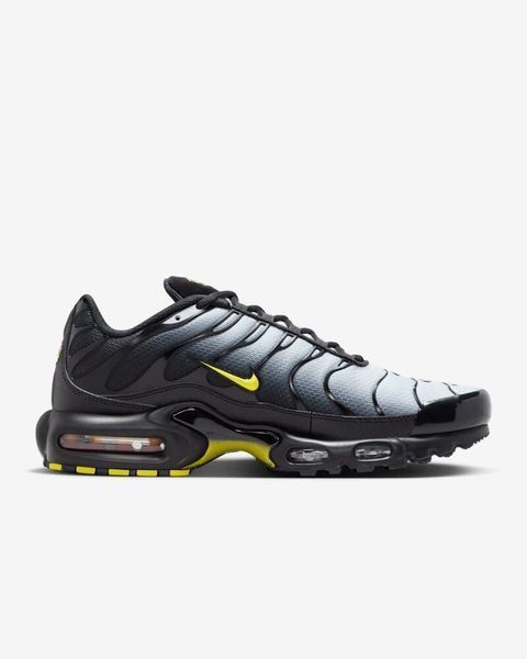 Кроссовки Nike Air Max TN Plus "Pacific Moss" DM0032-012 фото