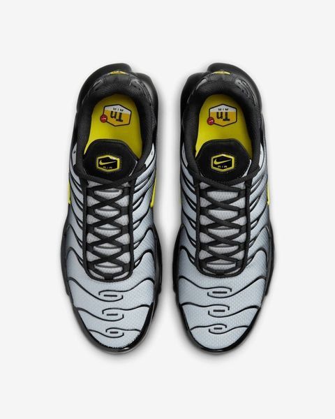 Кроссовки Nike Air Max TN Plus "Pacific Moss" DM0032-012 фото