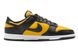 Nike Dunk Low Yellow/Black FZ4618-001 фото 3