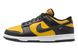 Nike Dunk Low Yellow/Black FZ4618-001 фото 1