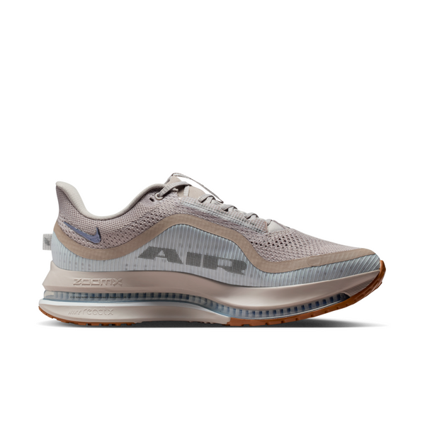 Кроссовки Nike Pegasus Premium "College Grey" HQ2592-010 фото