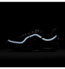 Кросівки Nike Pegasus Premium Anthracite Black HQ2592-011 фото 5