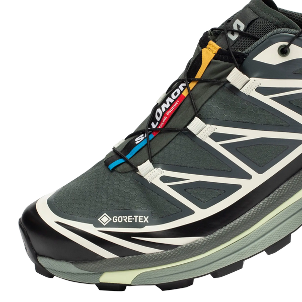 Salomon Advanced XT-6 GTX L47581300 фото