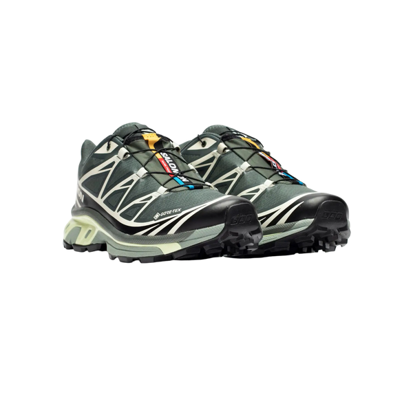 Salomon Advanced XT-6 GTX L47581300 фото